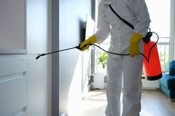 Best Mold Testing  in Madison Heights, VA