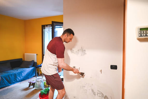 Best Office Mold Removal Services  in Madison Heights, VA